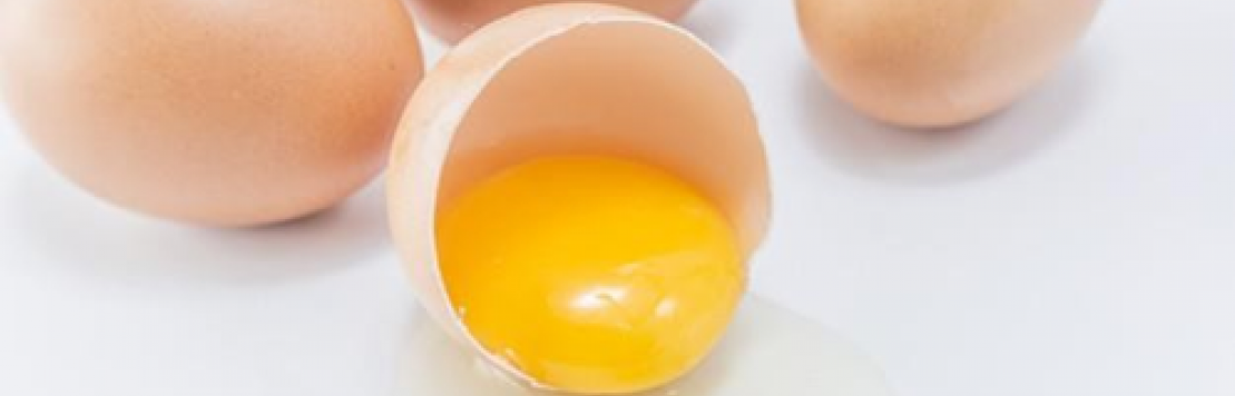 Eggs: Benefits, Myths and Safety