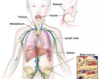 Hodgkin Disease