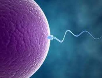Primary and Secondary Infertility