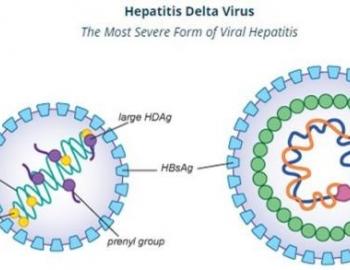 Hepatitis D