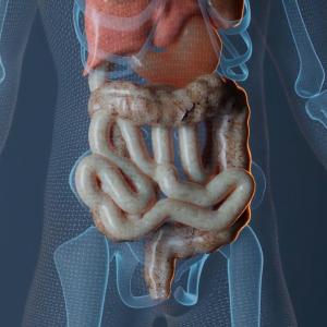Common Diseases of the Gut