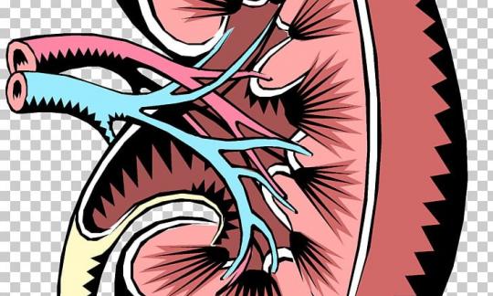 Acute and chronic kidney disease